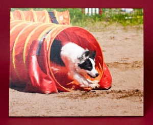 Canvas Print