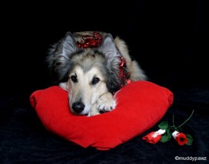 Tanja