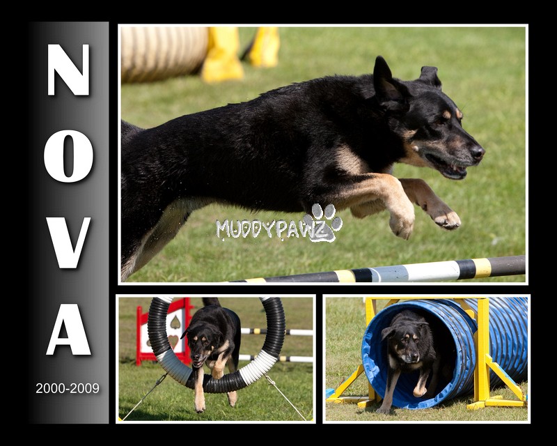 nova nova