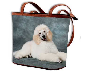image00233 Bucket Bag with Luxe leather handles
