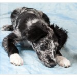 100523_1D33514