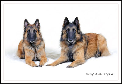 Indy & Tyra