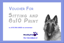 gift certificates